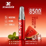 XIAOKE梟客拋棄式電子煙 8500口-冰爽西瓜口味