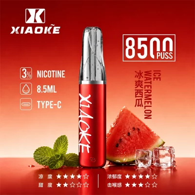 XIAOKE梟客拋棄式電子煙 8500口-冰爽西瓜口味