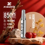 XIAOKE梟客拋棄式電子煙 8500口-山楂口味