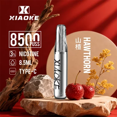 XIAOKE梟客拋棄式電子煙 8500口-山楂口味