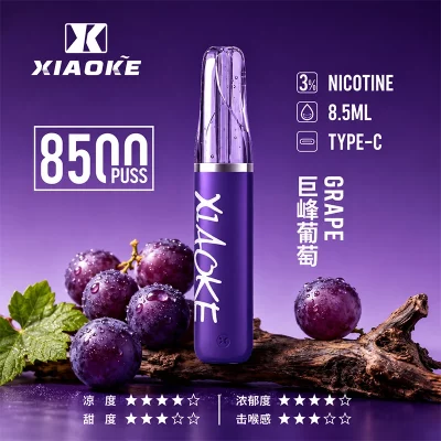 XIAOKE梟客拋棄式電子煙 8500口-巨峰葡萄口味