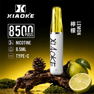 XIAOKE梟客拋棄式電子煙 8500口-海鹽檸檬口味