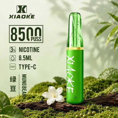 XIAOKE梟客拋棄式電子煙 8500口-綠豆口味