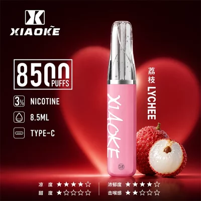 XIAOKE梟客拋棄式電子煙 8500口-荔枝口味
