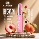 XIAOKE梟客拋棄式電子煙 8500口-蜜桃烏龍口味