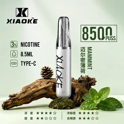 XIAOKE梟客拋棄式電子煙 8500口-邁阿密薄荷口味